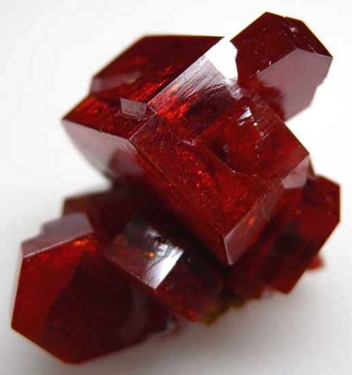 Go Garnet for January