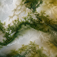 Moss Agate<br>Growth