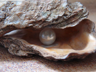 Pearl June birthstone