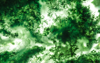 Moss Agate